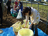 清風荘若女将 漬け込みです